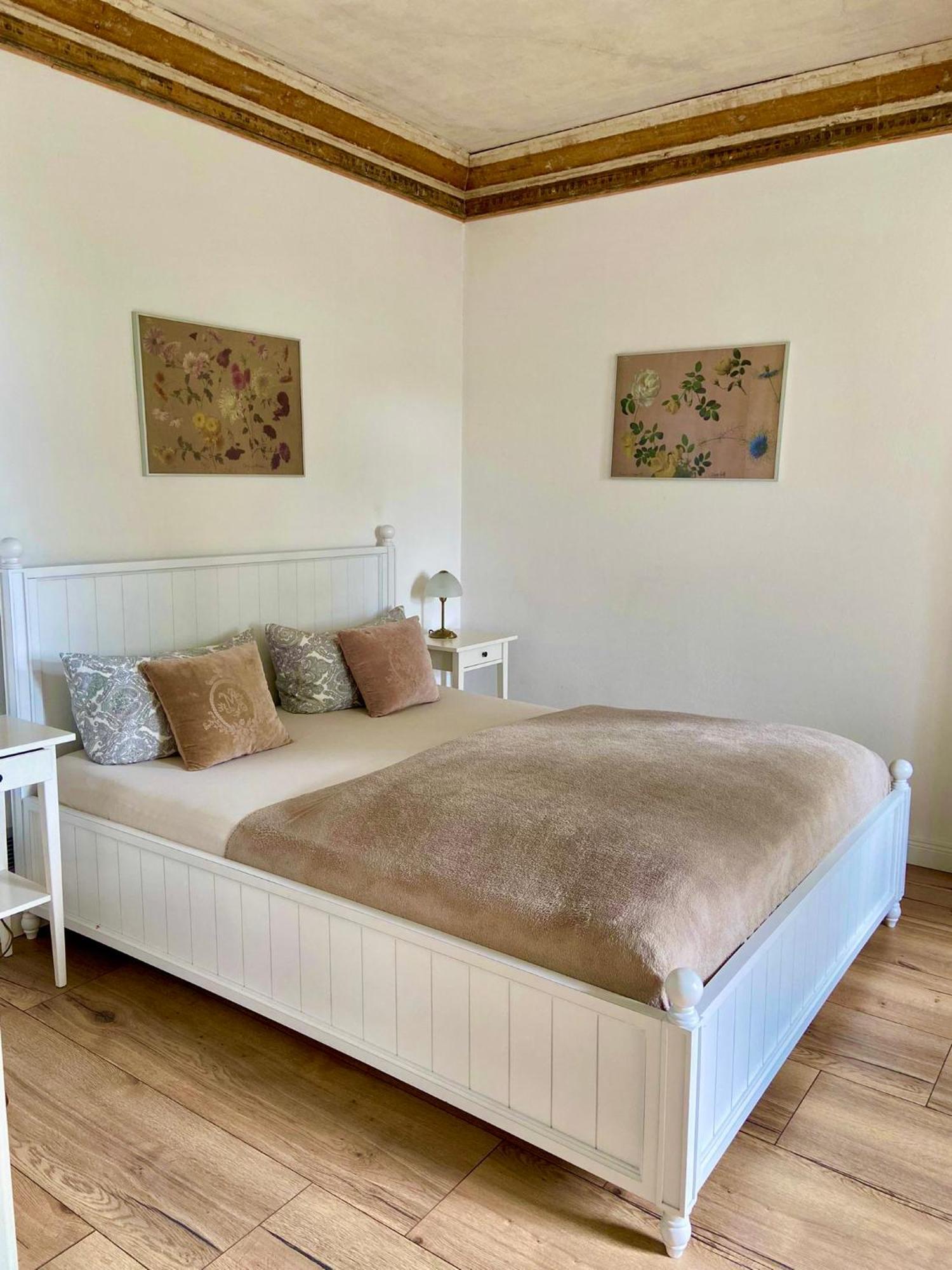 Wundervolle Im Elbhang Von Loschwitz Apartment
